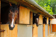 free Peacehaven stable construction quotes